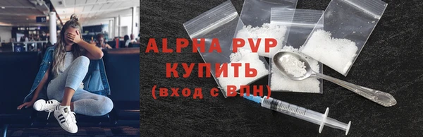 прущий лед Новозыбков