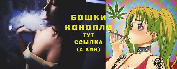 тгк Новокубанск
