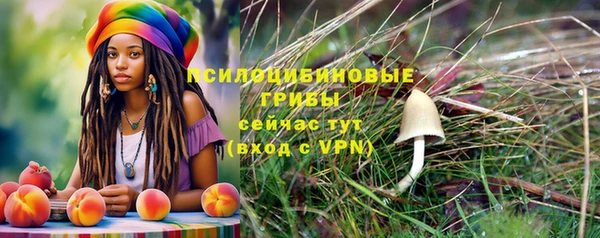прущий лед Новозыбков
