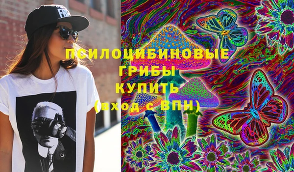 тгк Новокубанск