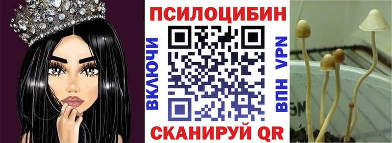 магазин    MEGA как зайти  Галлюциногенные грибы ЛСД  Топки 