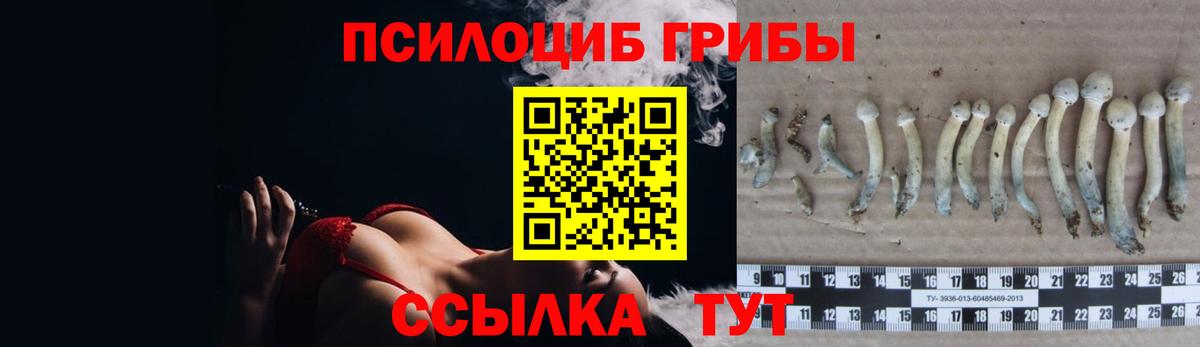 Псилоцибиновые грибы мицелий Топки